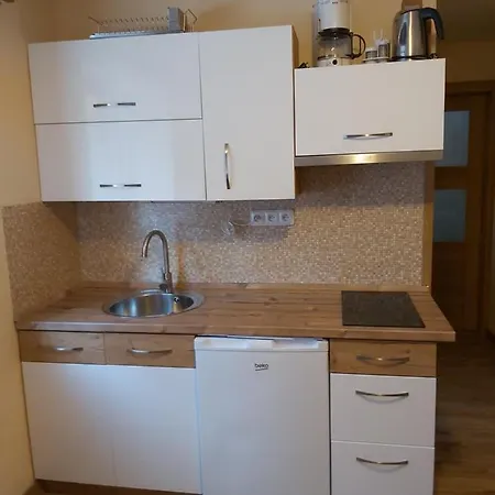 Gæstehus Rieger Harrachov